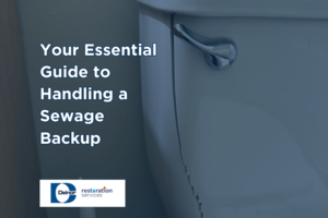 Guide to Handling a Sewage Backup